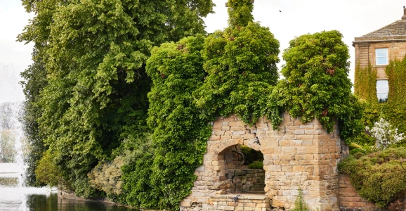 Wallfest: Barbara Phipps Talk on Charles Waterton