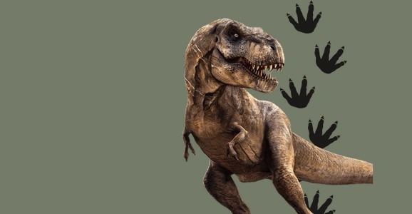 WXcavation – WX dinosaur week take-over