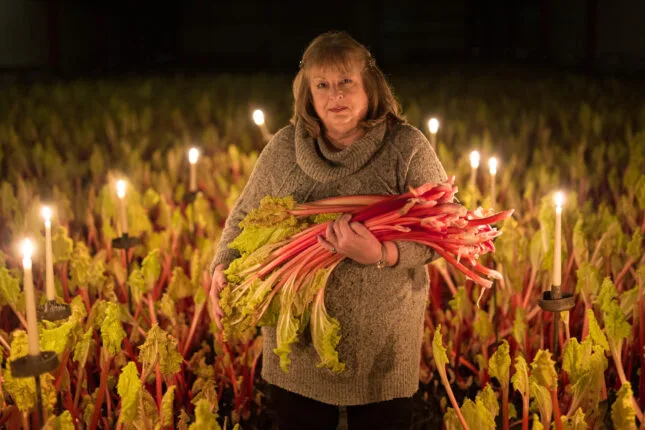 Rhubarb Heritage Talk with Janet Oldroyd